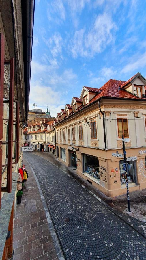 Petkovsek Rooms And Apartments Laibach Exterior foto